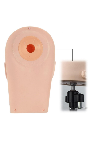 İpek Kirpik Ugulama Eğitimi Yüz Modeli