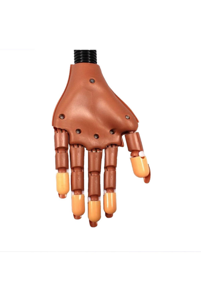 Protez Tırnak & Kalıcı Oje Masa Tipi Robotik Eğitim Eli